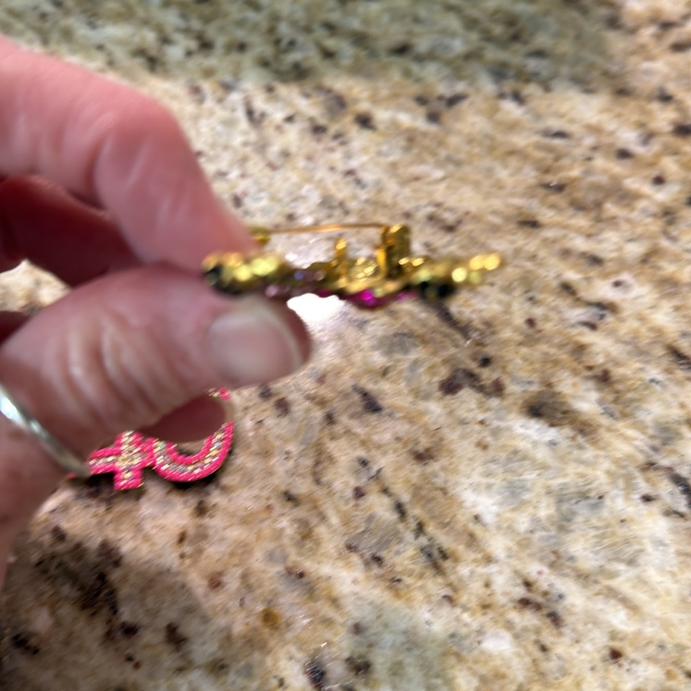 2 Pc Bundle Pretty In Pink #40 Dangling Earrings &  Rhinestone Poodle Brooch Pin - Picture 10 of 11